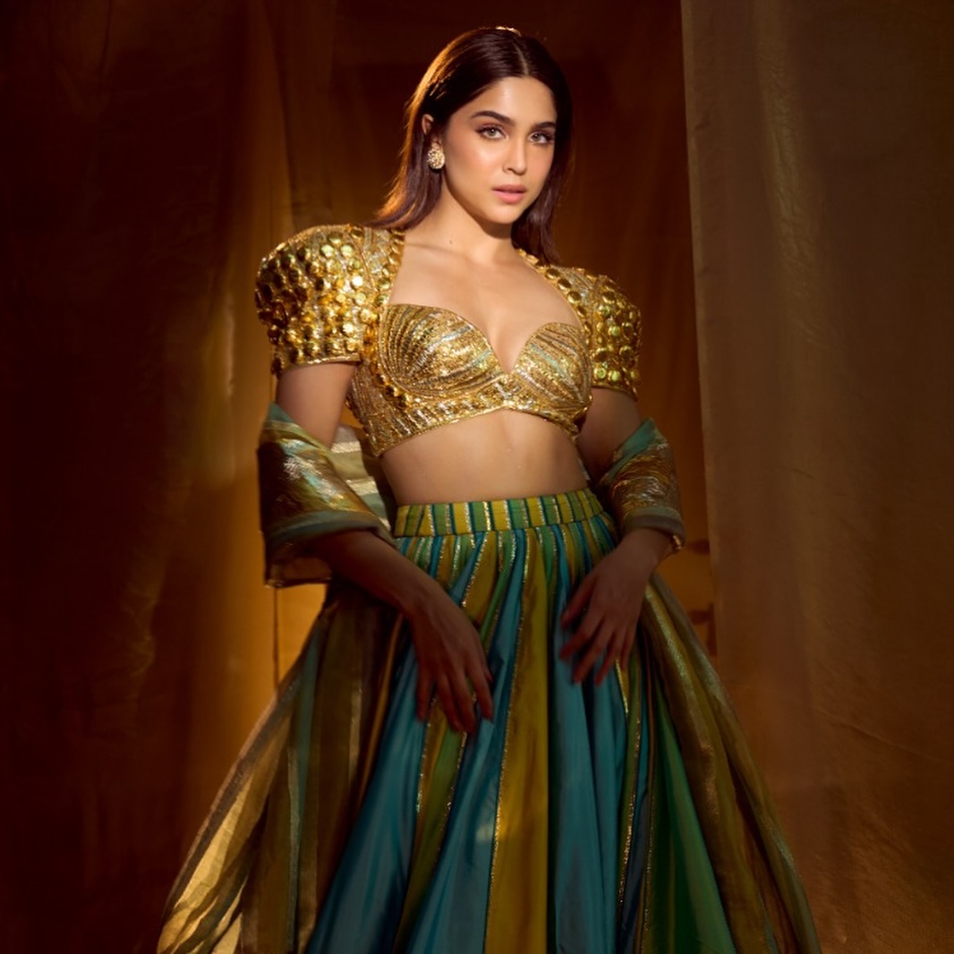 Byzantine Elegance: Sharvari Stuns In Jewelled Blouse