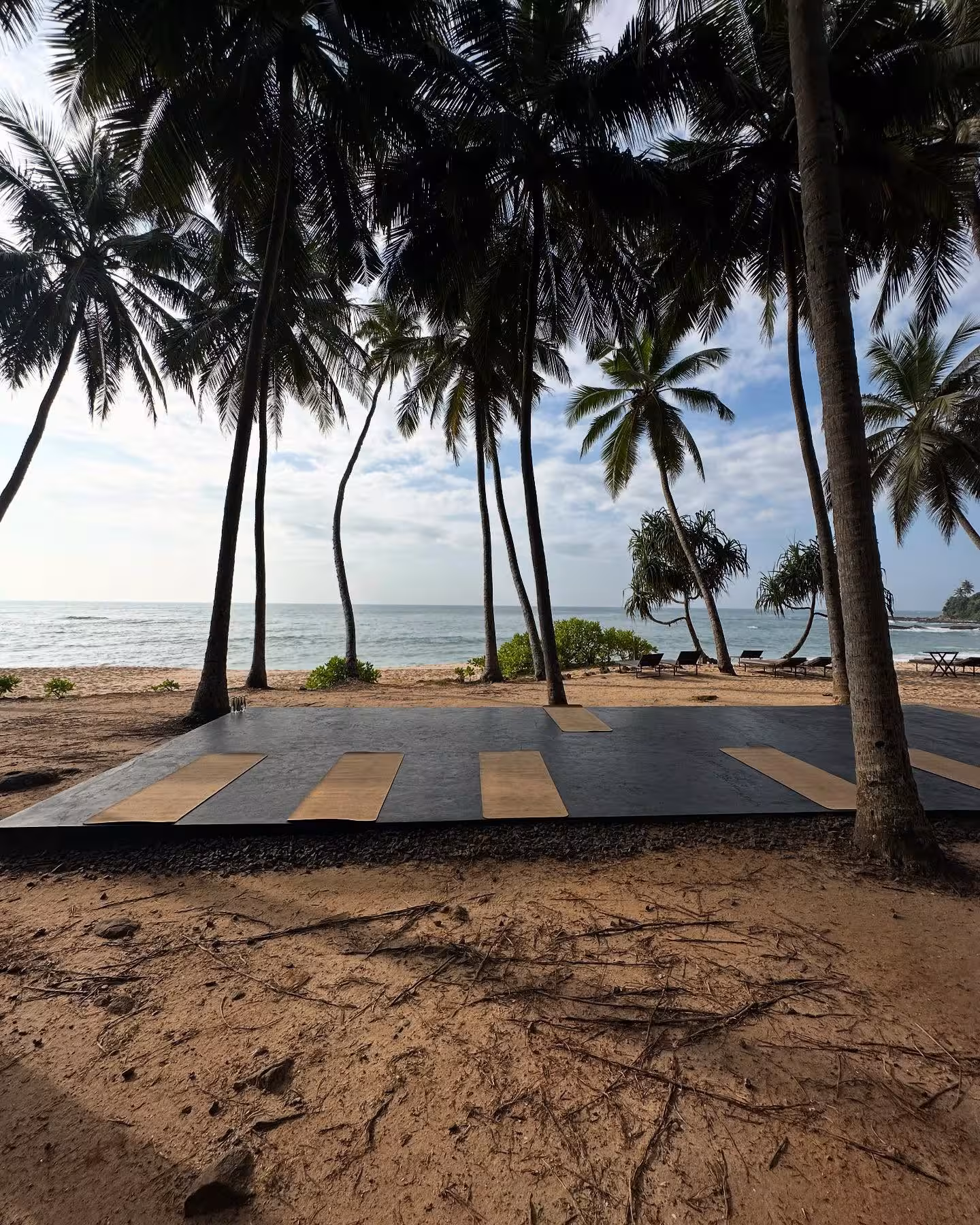 Celebrating Yoga For A Connected World