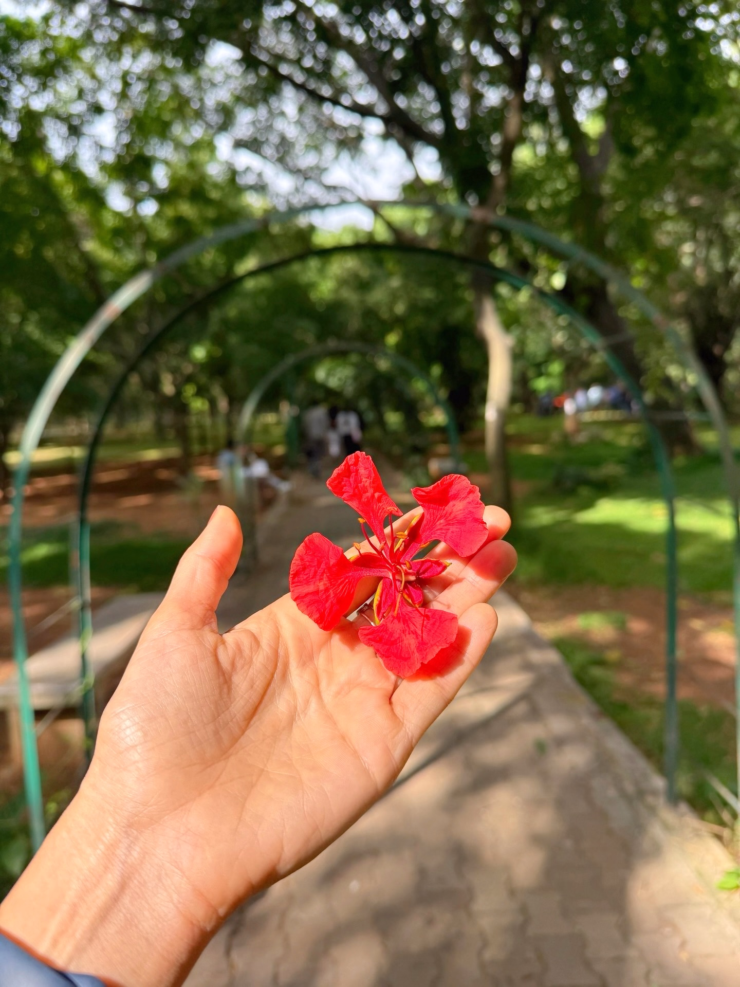 Cubbon Park Charms Aahana Kumra