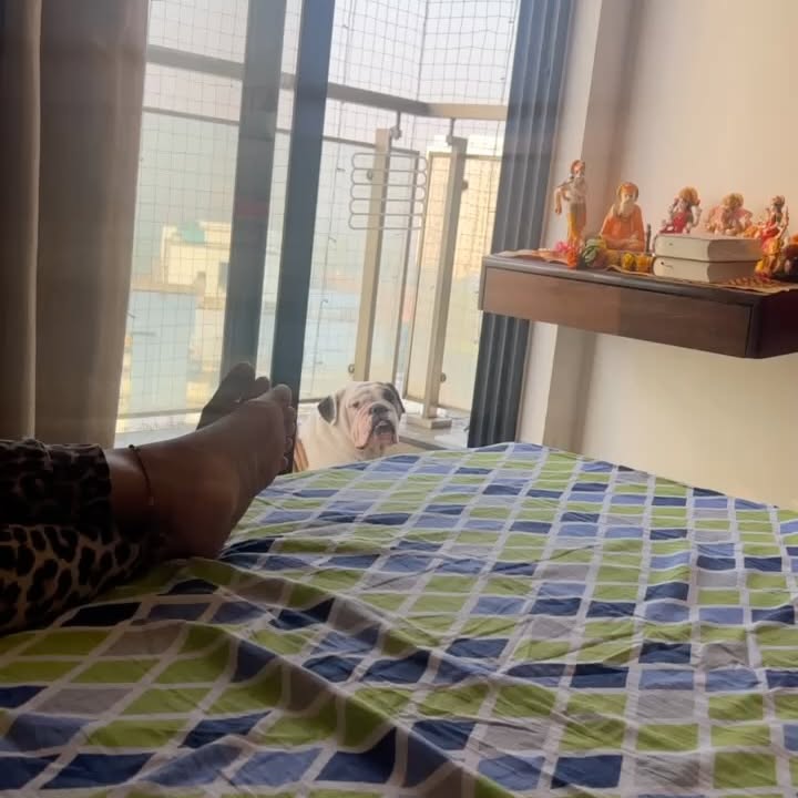 Dhoopar Honors Beloved Dog Oreo