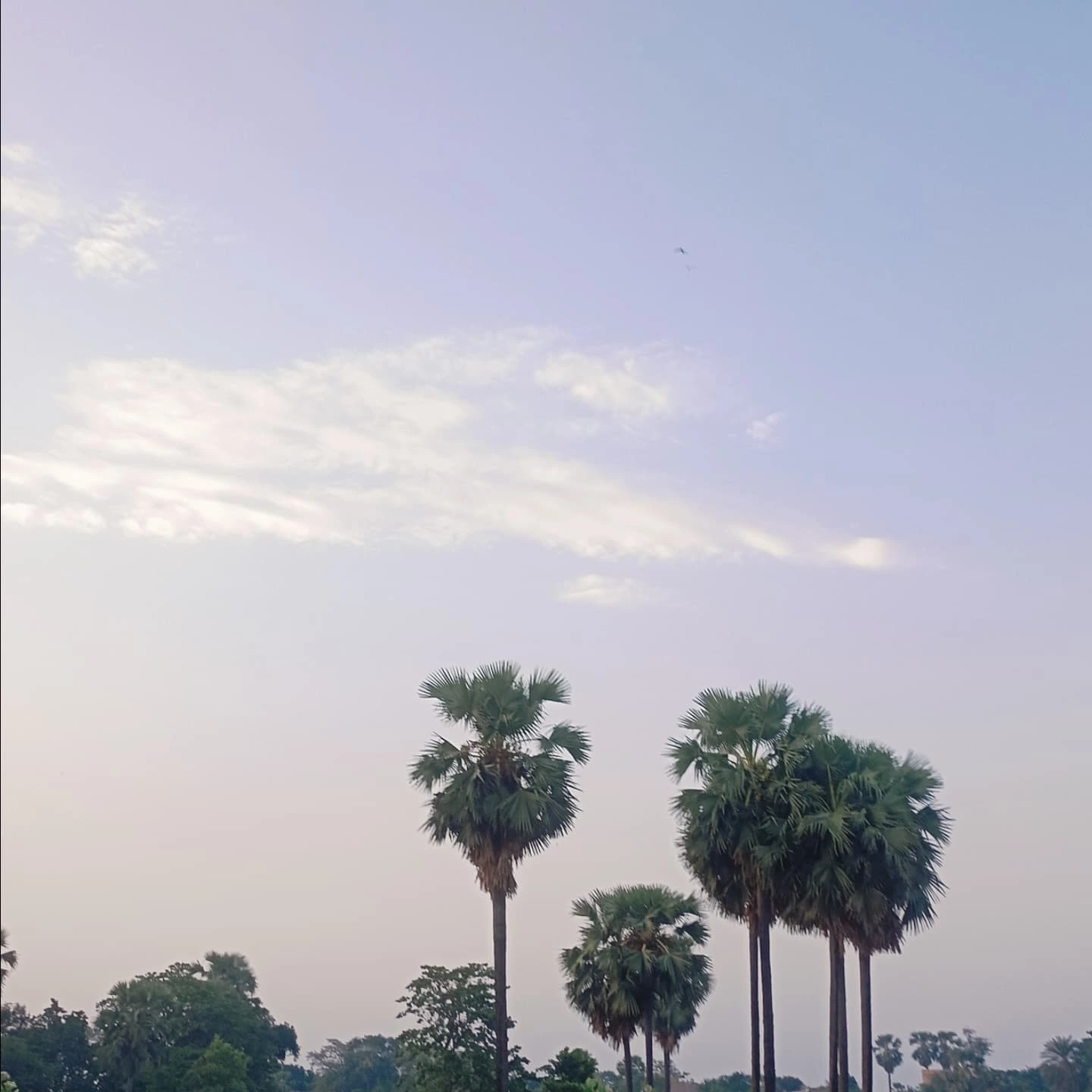 Hamaar Gaon: Celebrating Bihar Heritage