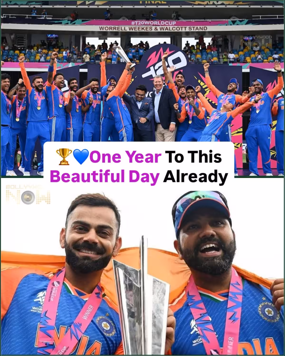 A year on since India clinched the T20 World Cup, fans revel in unforgettable celebrations.
