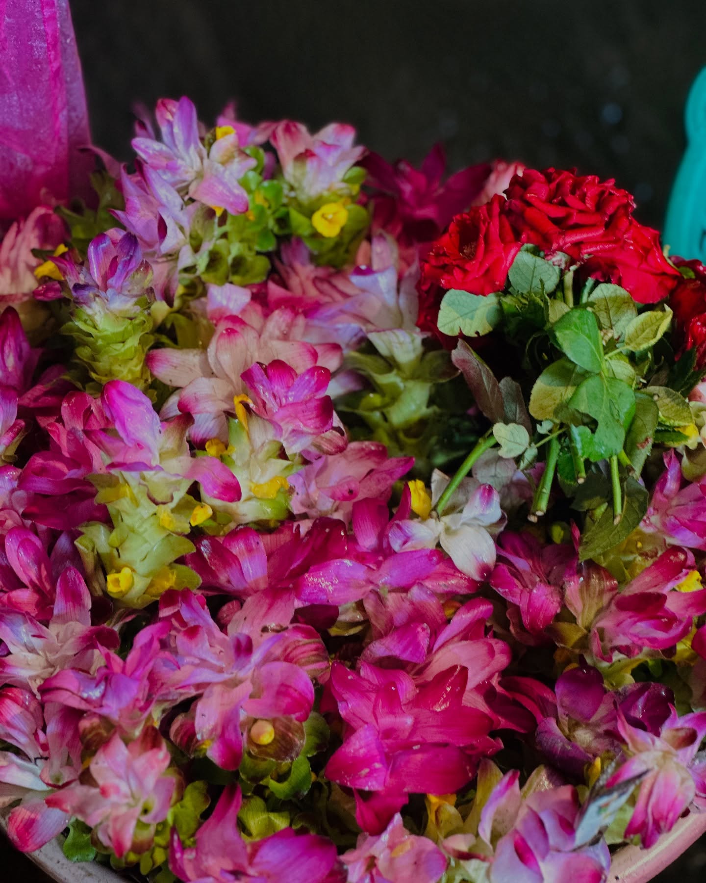 Isha Rikhi’s Spiritual Homage
