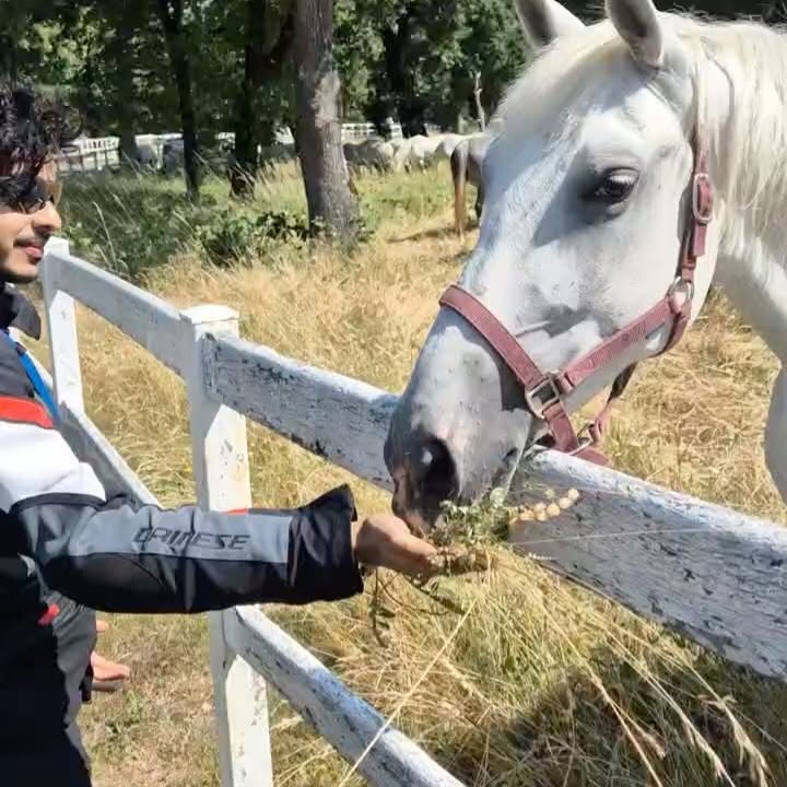 Ishaan Khatter Bids Farewell To Slovenia, Croatia & Austria