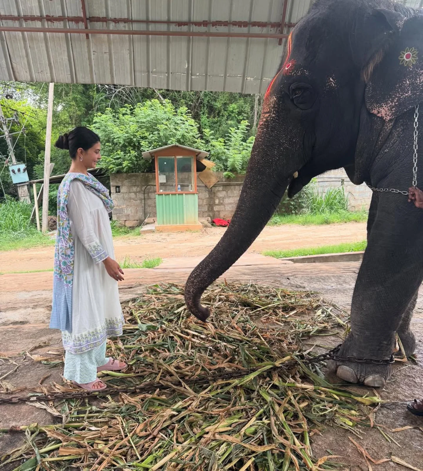 Jacqueline Fernandez Embraces Nature And Spiritual Living