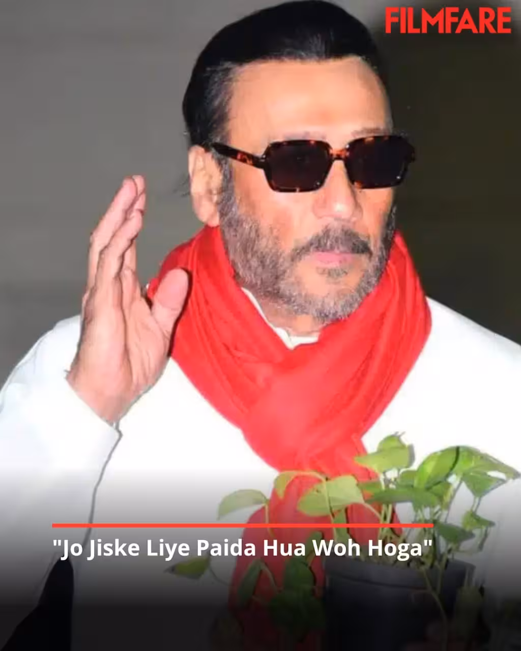 Jaggu Dada’s Wisdom Sparks Mindful Pause