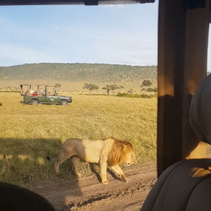 Monday Memories In The Masai Mara
