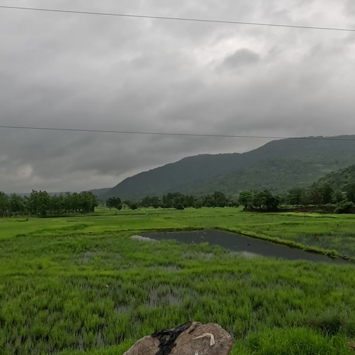 Mumbai To Goa: Celebrity Road Trip And Crocodile Sighting