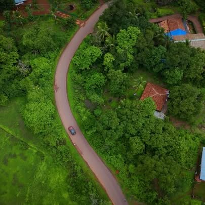 Mumbai To Goa: Celebrity Road Trip And Crocodile Sighting