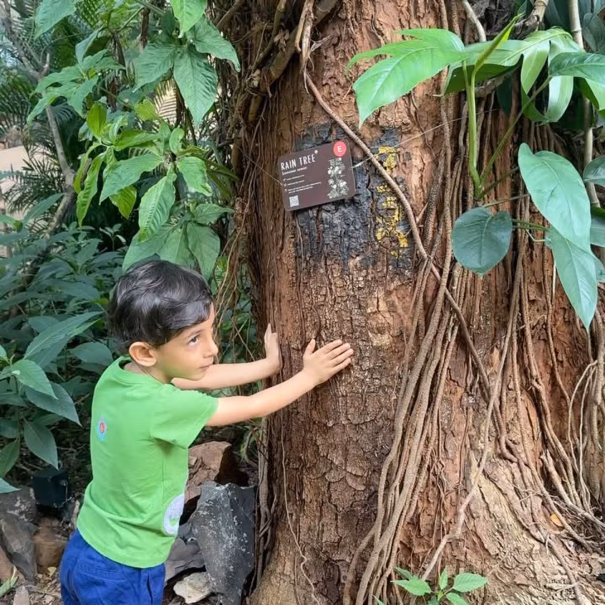 Mumbai’s Green Spaces Inspire Eco Revival Experience nature’s transformative power on Mumbai’s urban trails and ecological wonders.