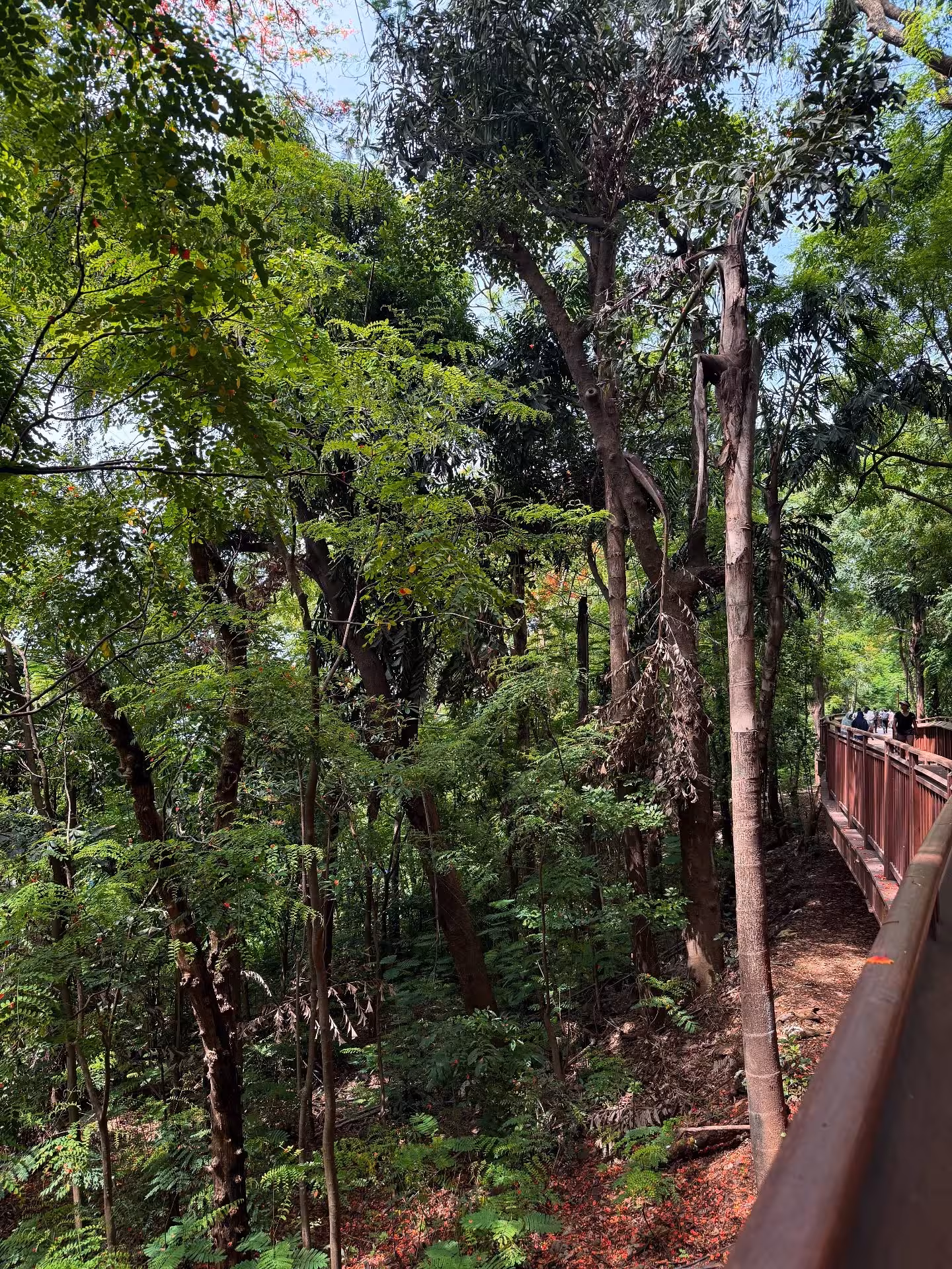 Mumbai's Green Spaces Inspire Eco Revival