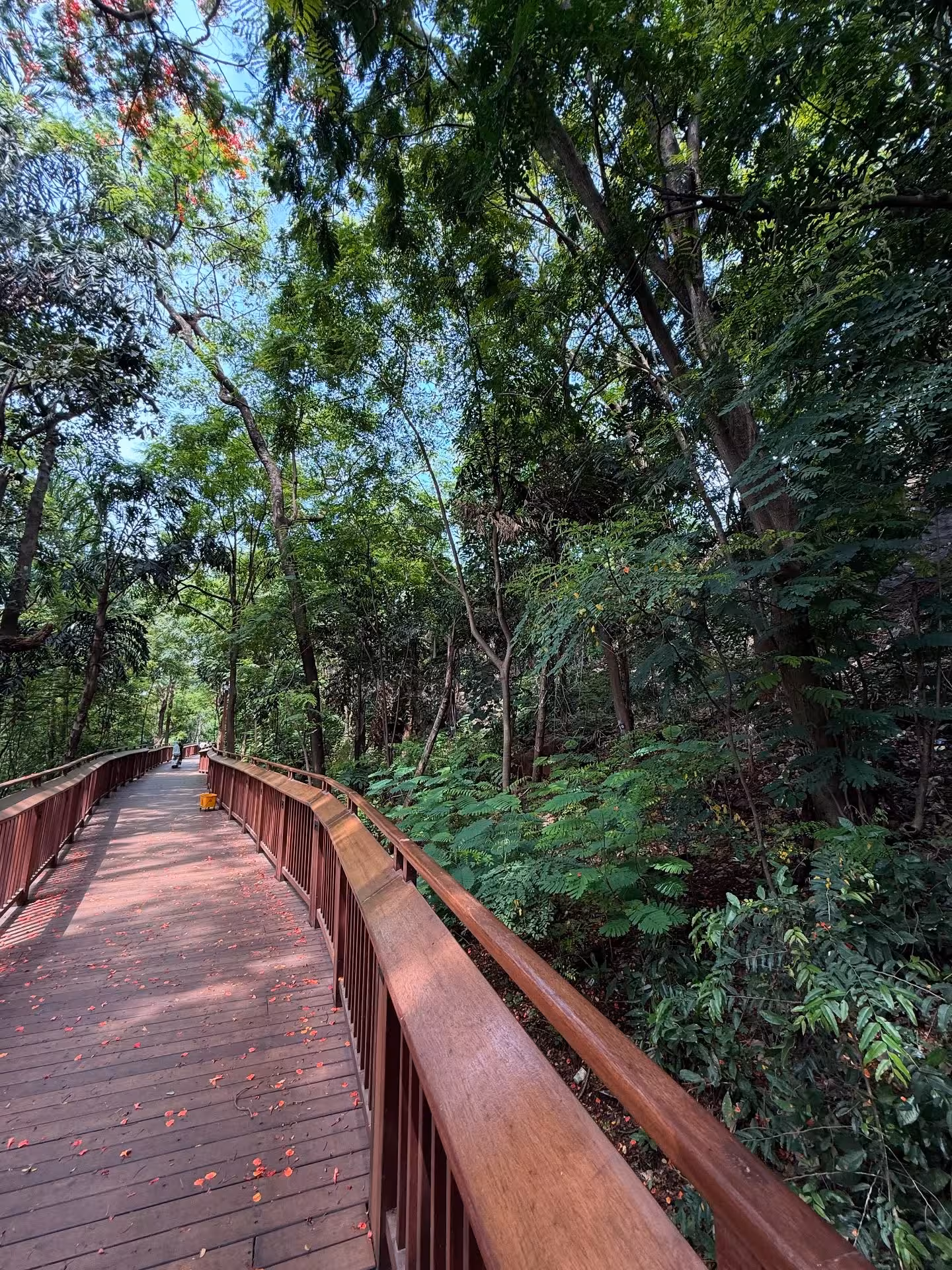 Mumbai's Green Spaces Inspire Eco Revival