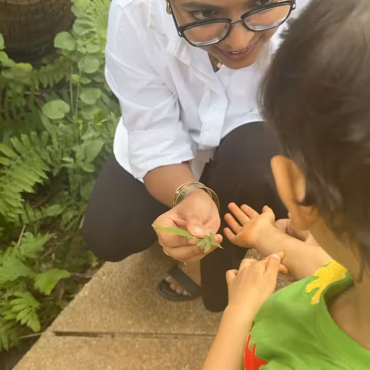 Mumbai's Green Spaces Inspire Eco Revival