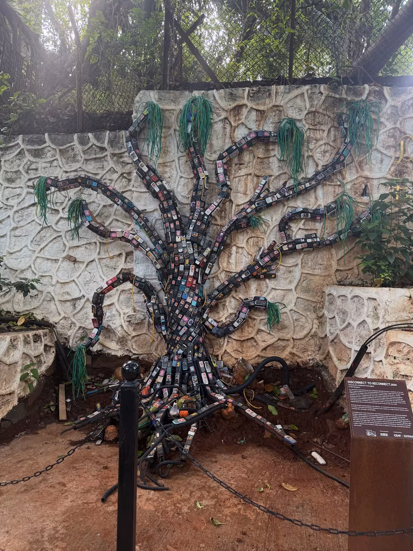 Mumbai's Green Spaces Inspire Eco Revival