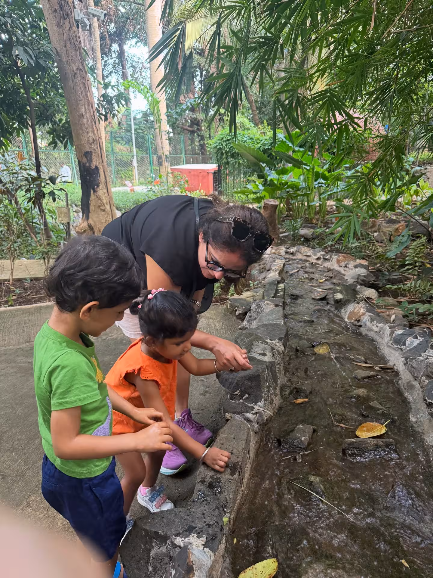 Mumbai's Green Spaces Inspire Eco Revival