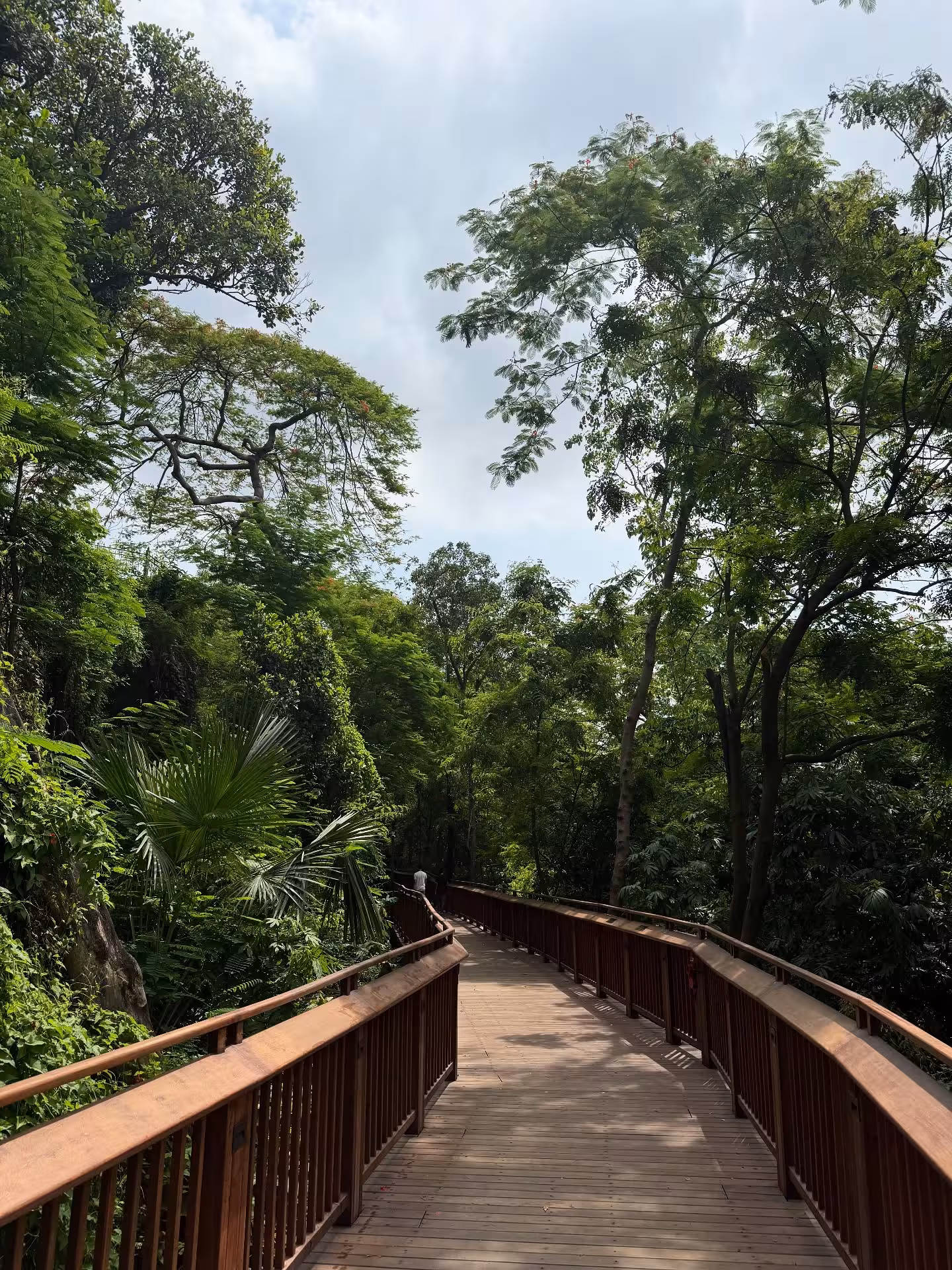 Mumbai's Green Spaces Inspire Eco Revival