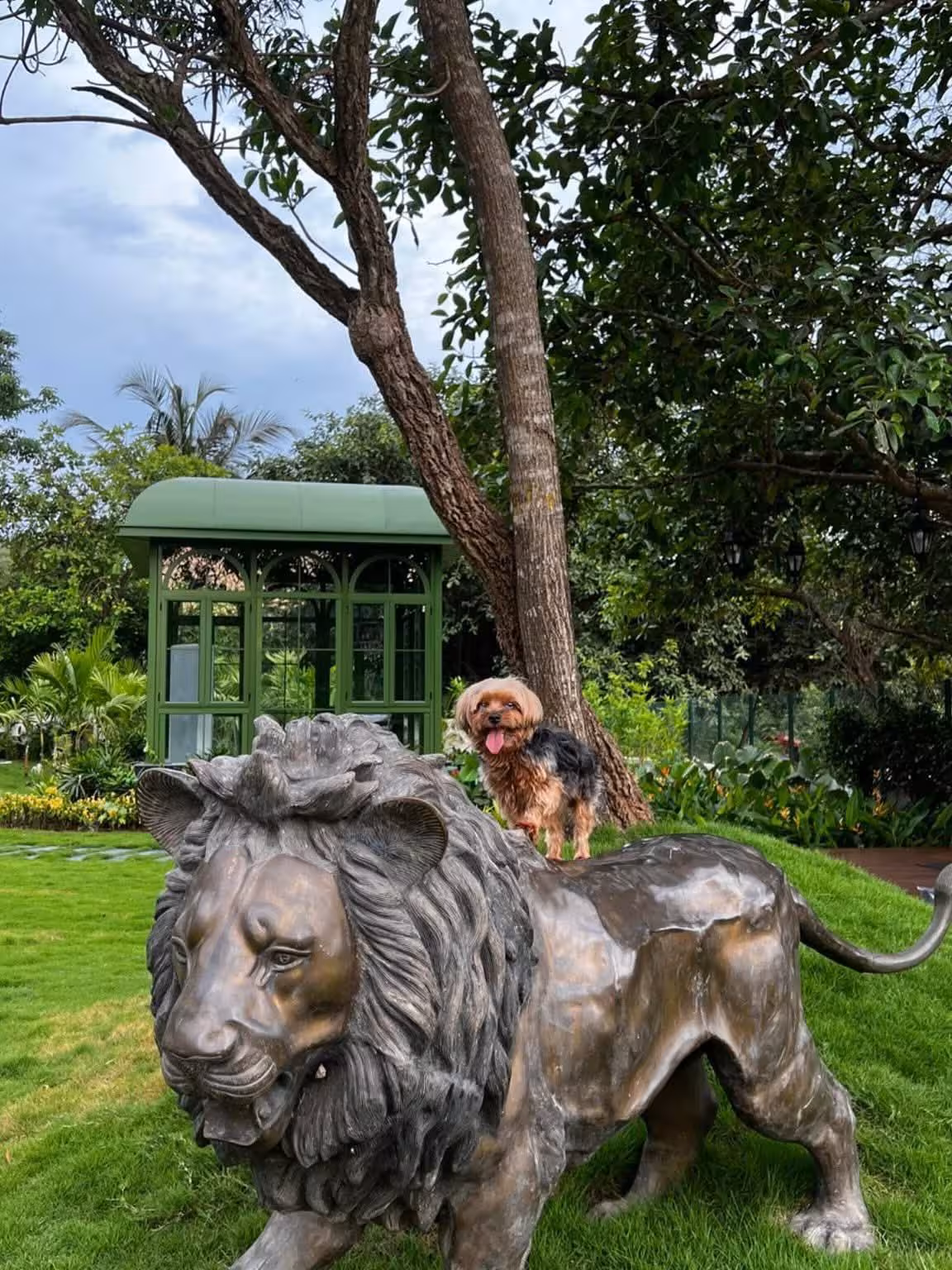 Puja Gupta’s Personal Planet Unveiled