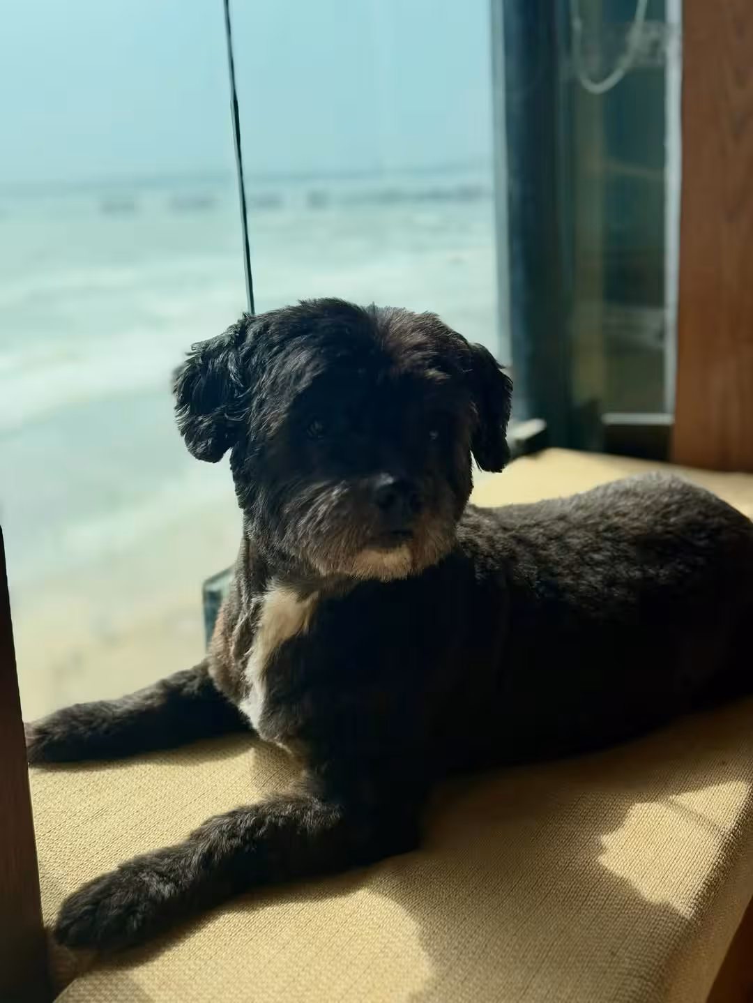 Shraddha Kapoor's Serene Sunday By The Sea