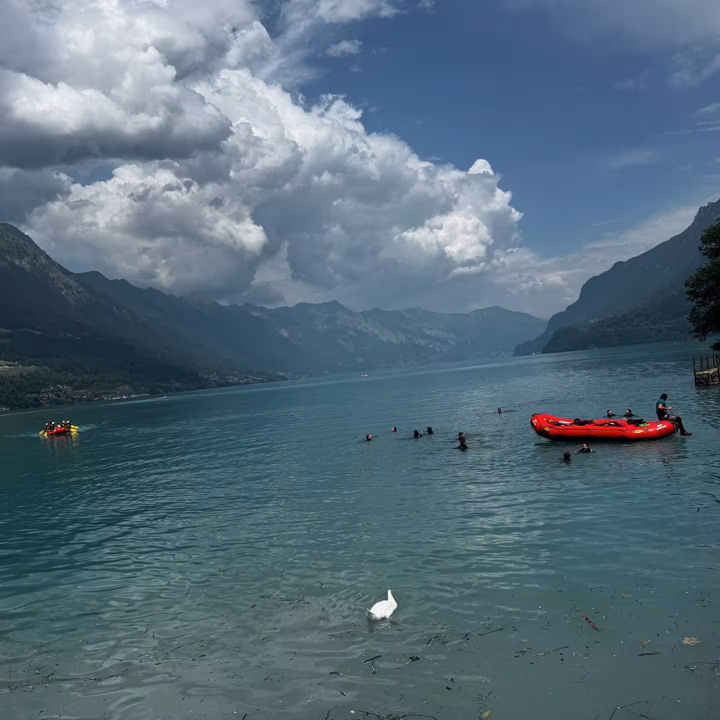 Swiss Escape Inspires Mansi Parekh's Chill Vibes