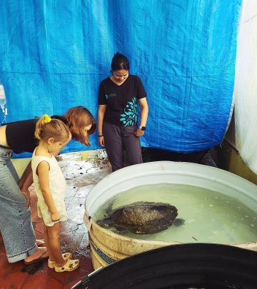 Turtle Rescue Sparks Monsoon Magic