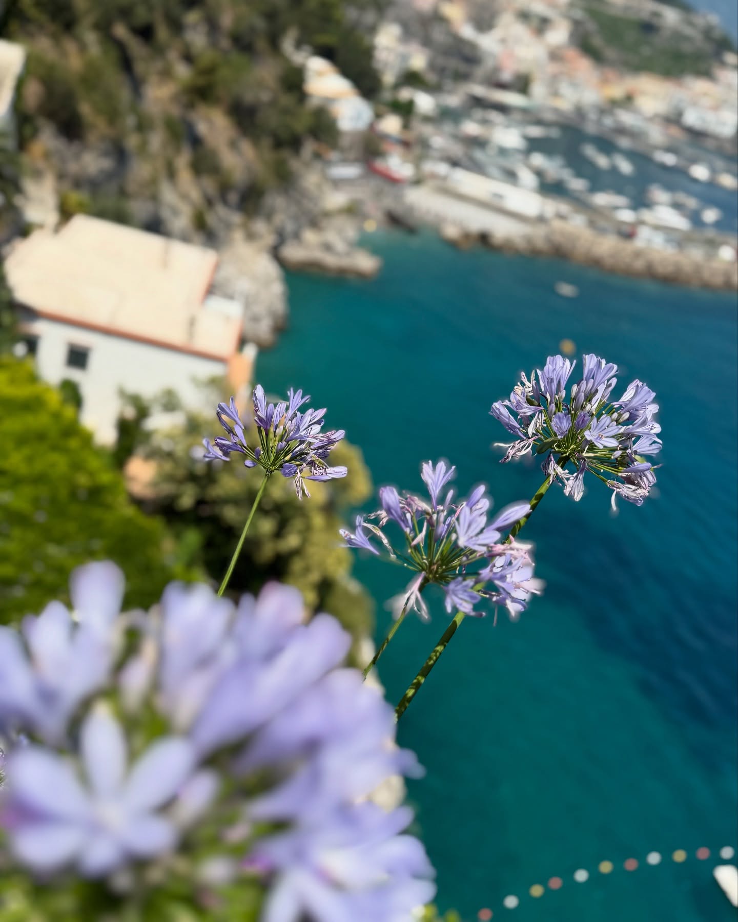 Zesty Amalfi Coast Escape