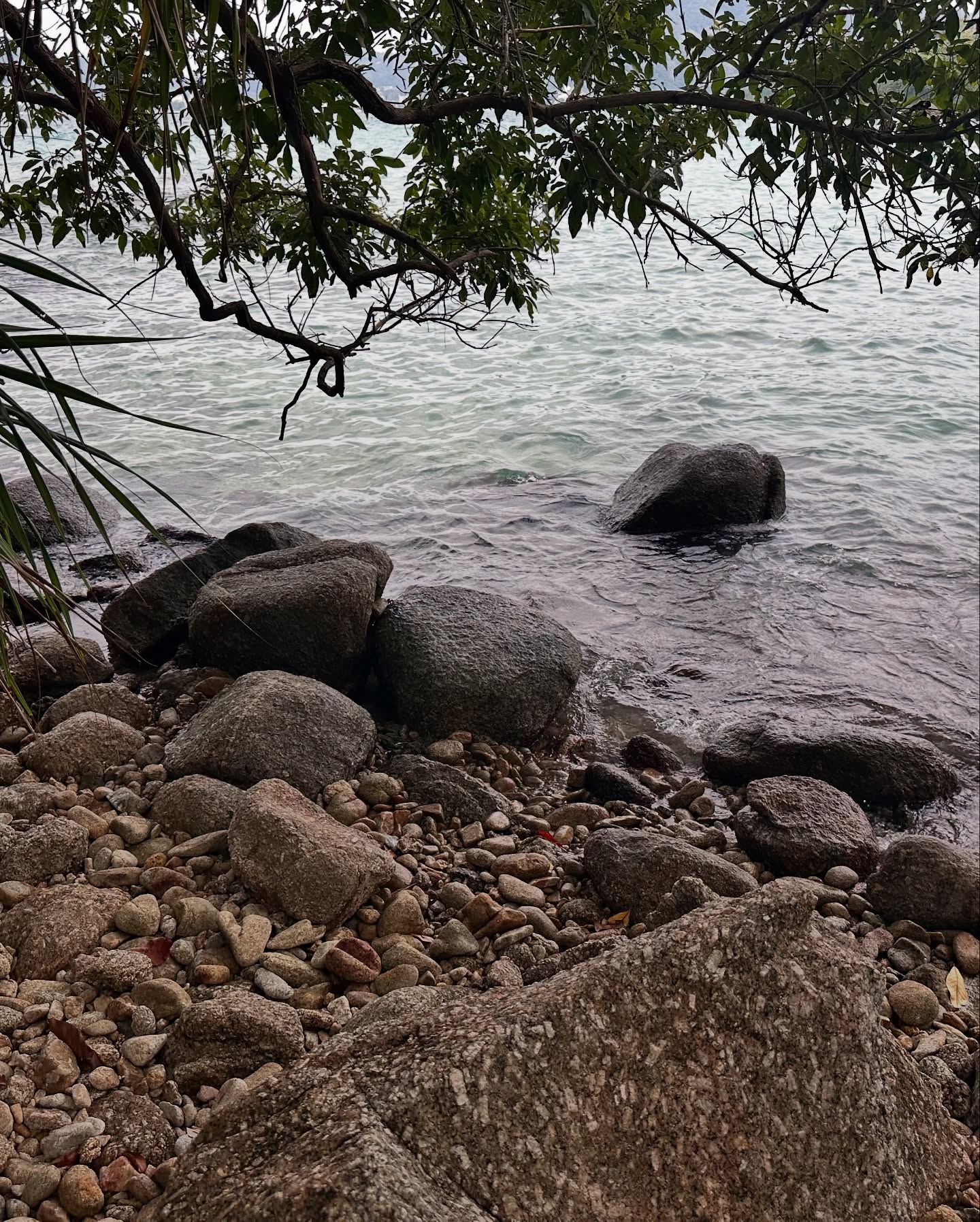 Diksha Singh’s Serene Hideout