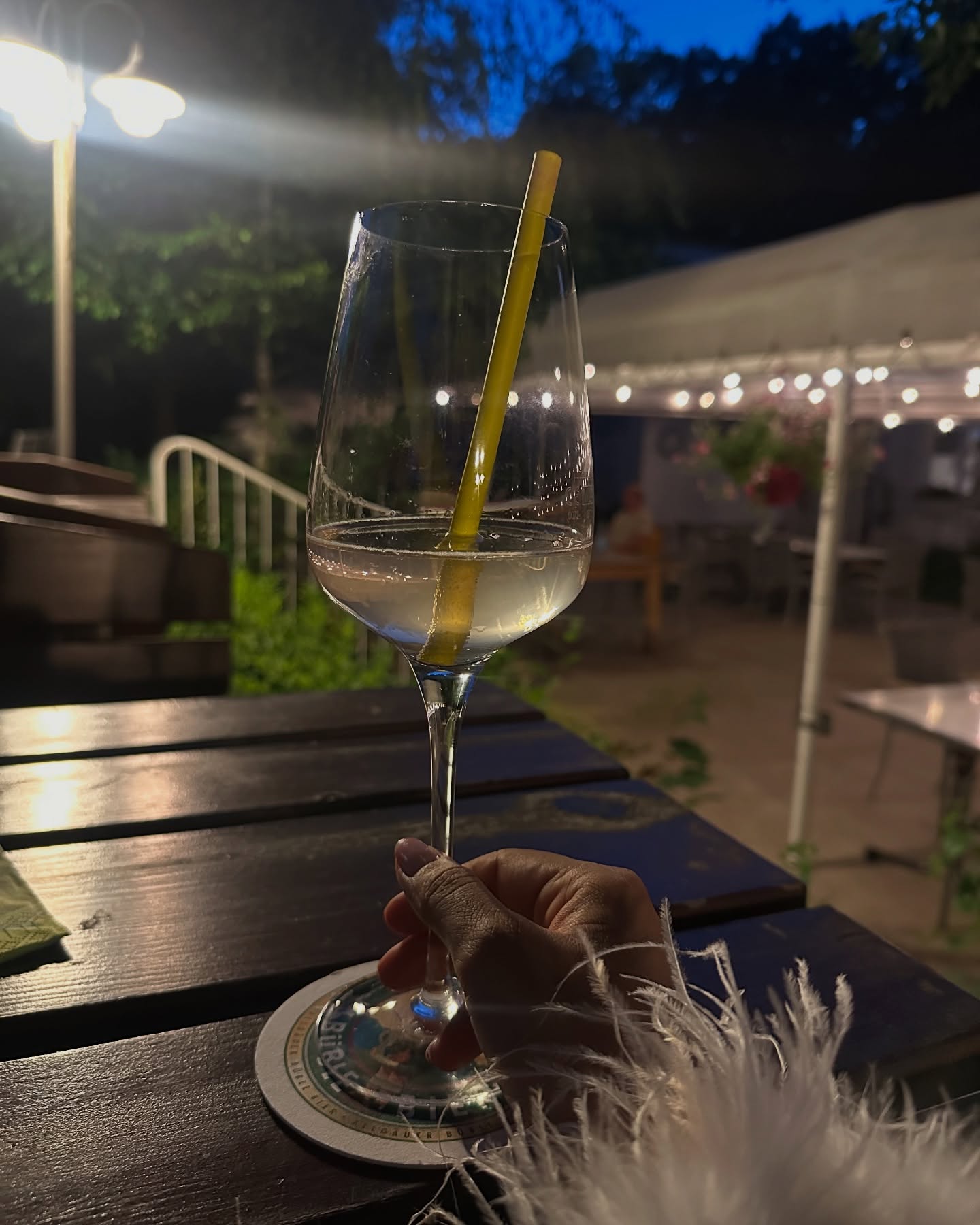 Neha Sharma Serves European Summer Food Envy